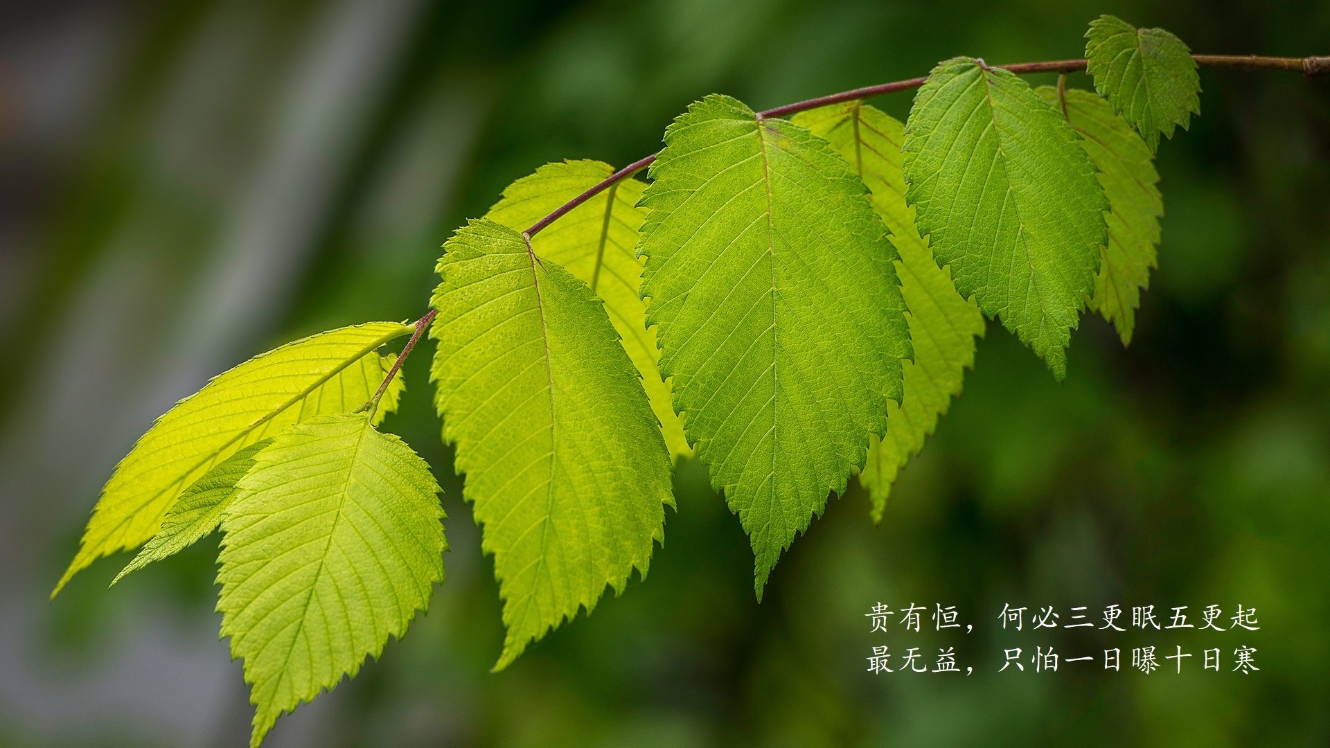 开云体育-西甲球队使用动态模型优化半场反击中的空位利用策略