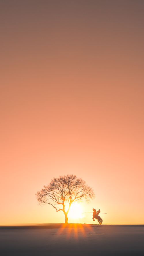 开云体育app入口-中国女篮全队积极备战国际比赛，中国女篮虽败犹荣