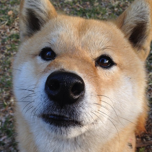 开云ky官网-体育院校招生政策调整提高专业技能权重，体育招生院校及专业要求