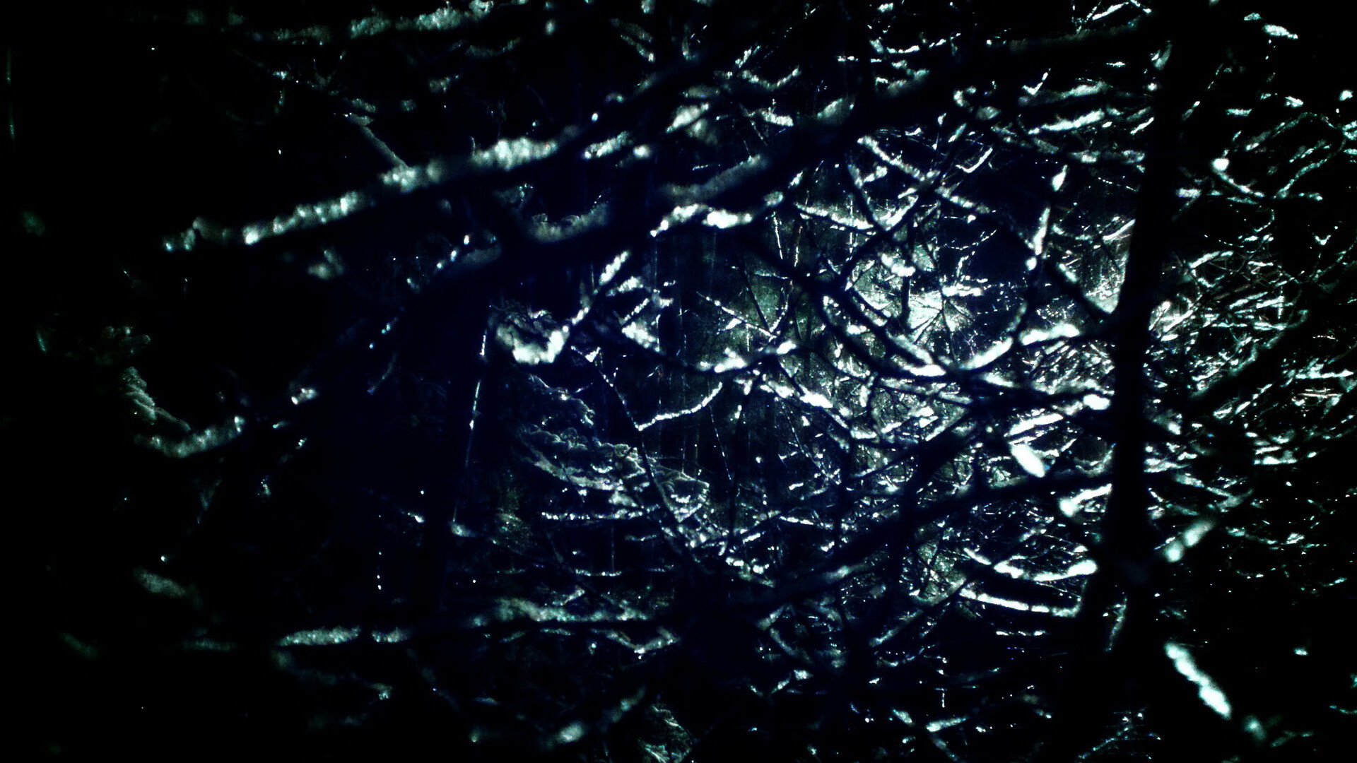 kaiyun开云体育-国家女篮备战亚运会蓄势待发，亚运会女子篮球中国队