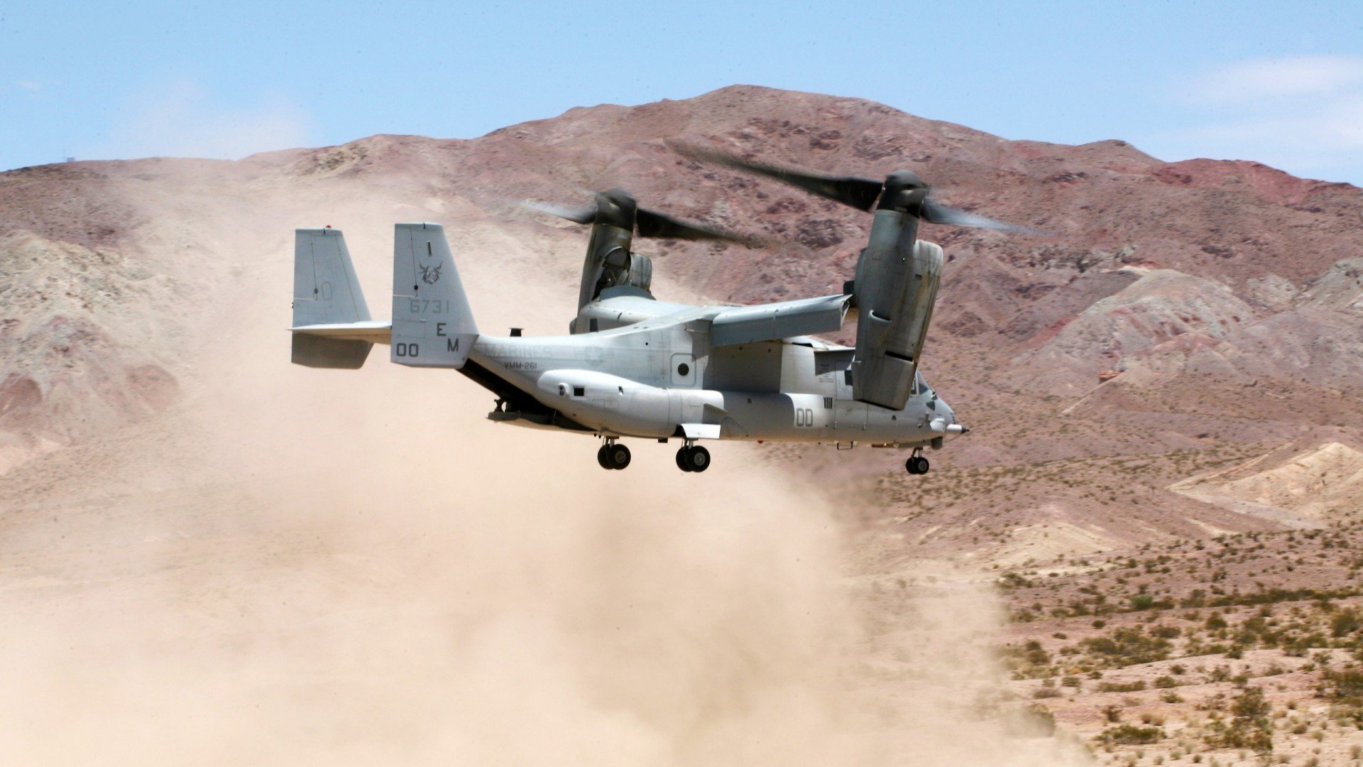 开云ky官网-战队选手训练分工明确操作细节追求极致，战队玩法