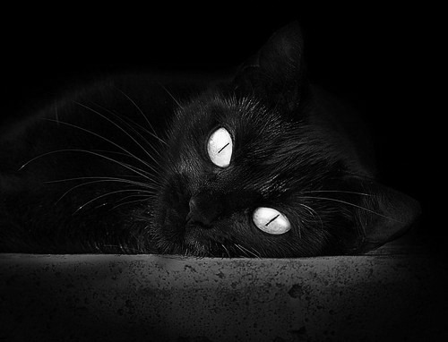 开云体育登录入口-拜仁通过“战术角球”创造关键进球机会