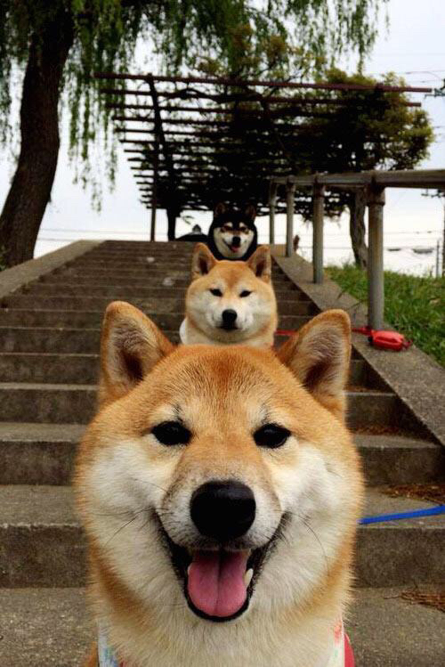 开云体育app在线-罗马快速推进提升破门效率，罗马技巧