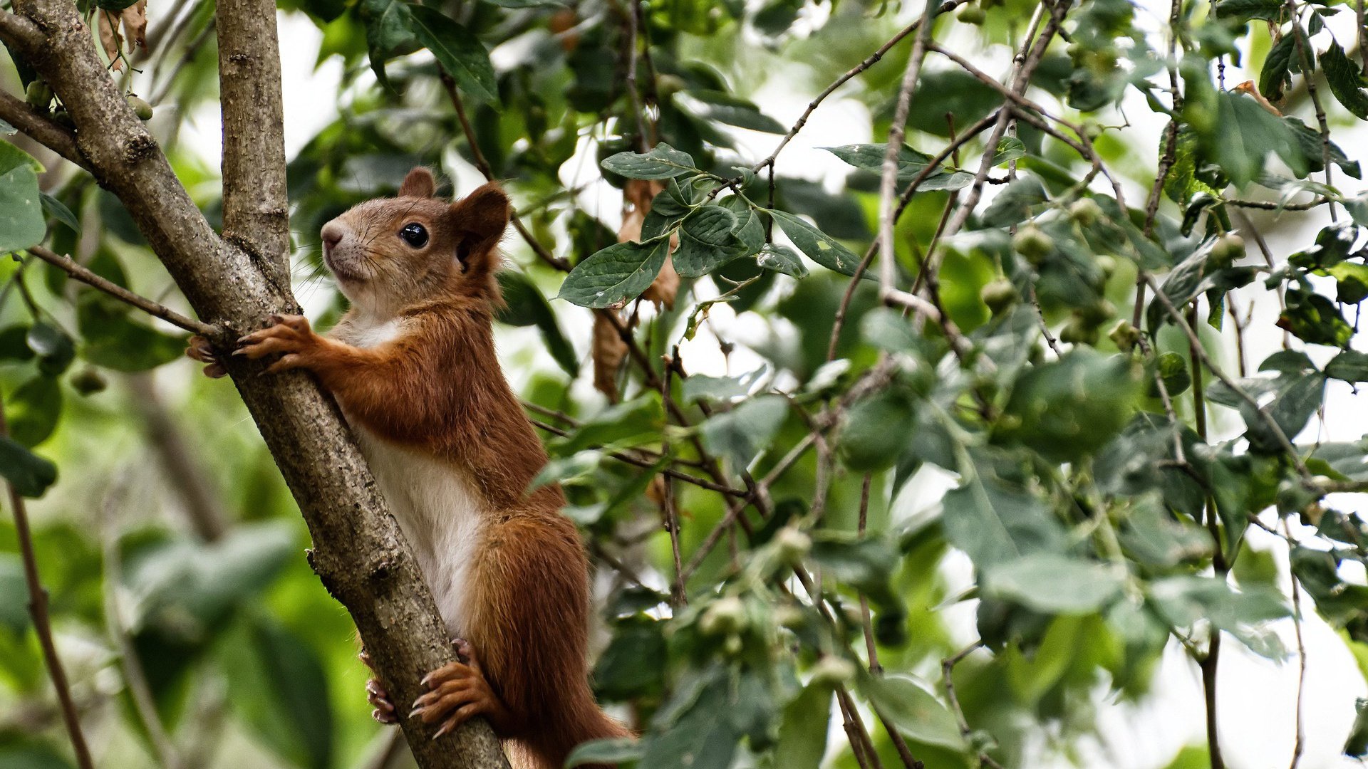 开云体育app在线-中国女排迎来新一届队长正式亮相，中国女排现任队长叫什么名字