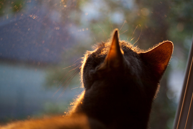 开云体育娱乐-中超联赛增加队长责任日宣传领导力与团队意识，球队队长作用