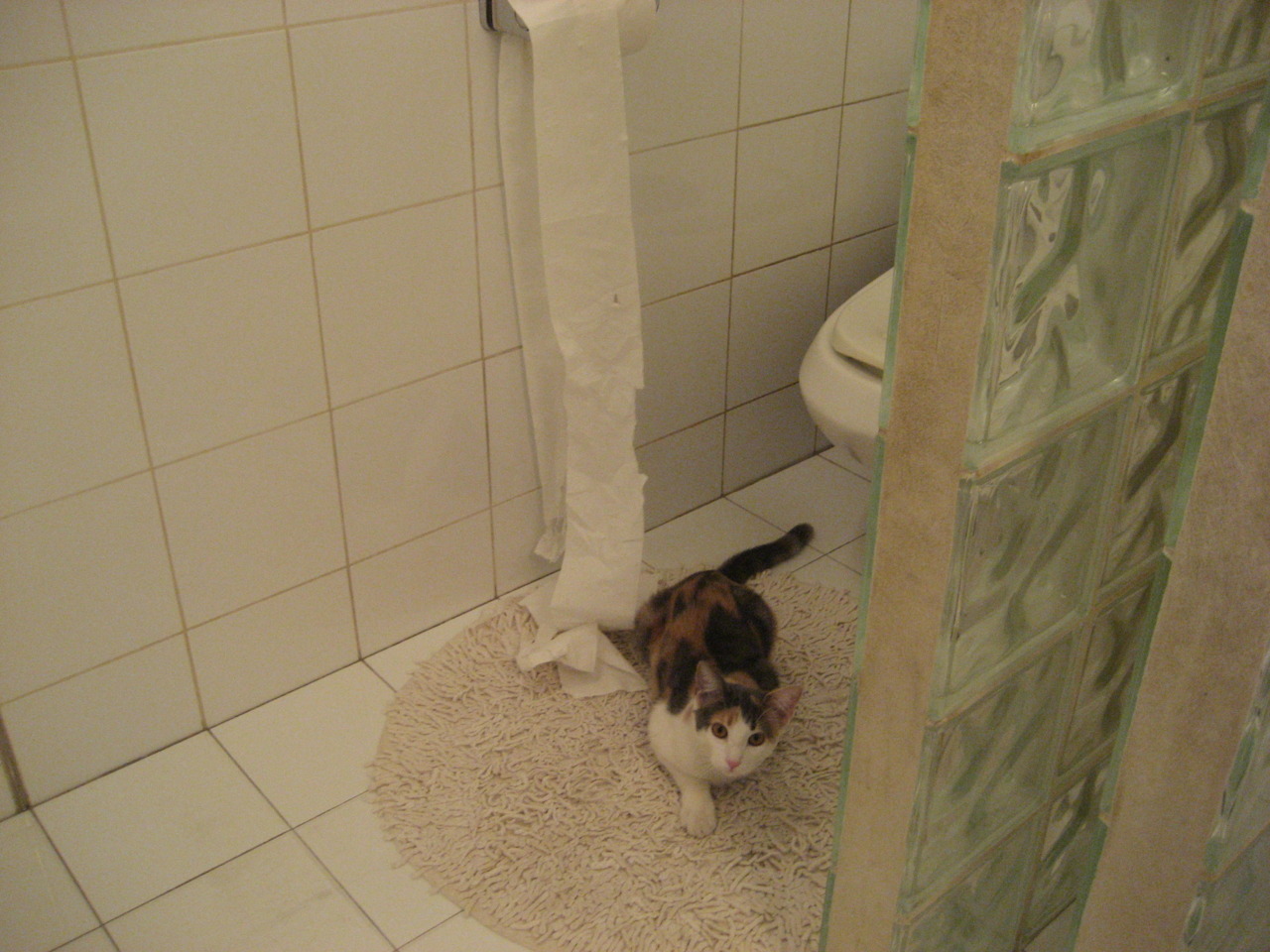 开云体育网址-卢旺达男篮在非洲锦标赛中力争佳绩，展现非洲新力量