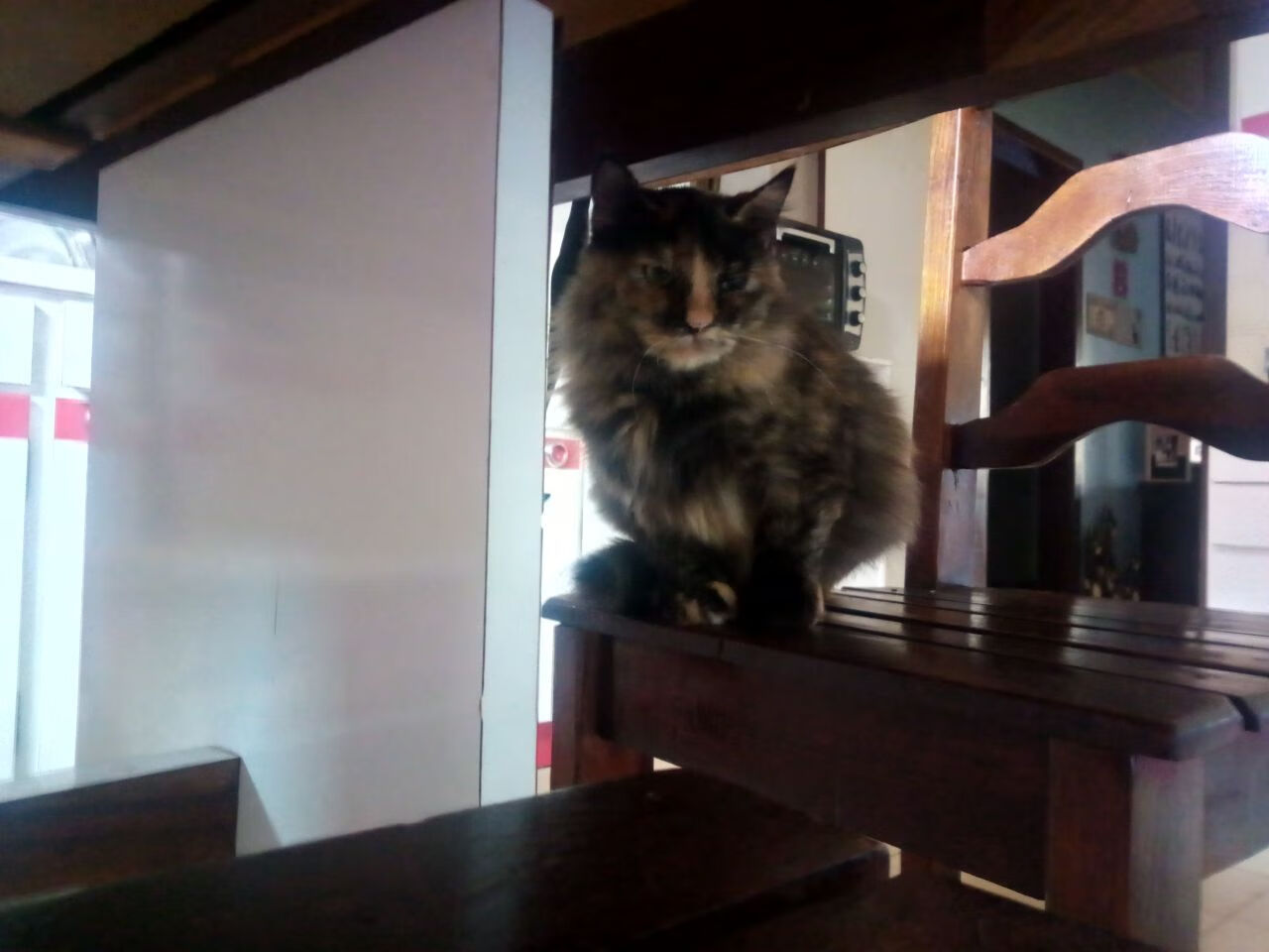 开云体育-女子足球联赛全新赛季开启，女子足球2021