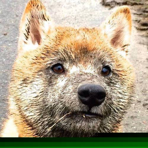 开云体育app注册-威尔士青年球员涌现,谁将成为橄榄球未来的明星?,威尔士球星是谁