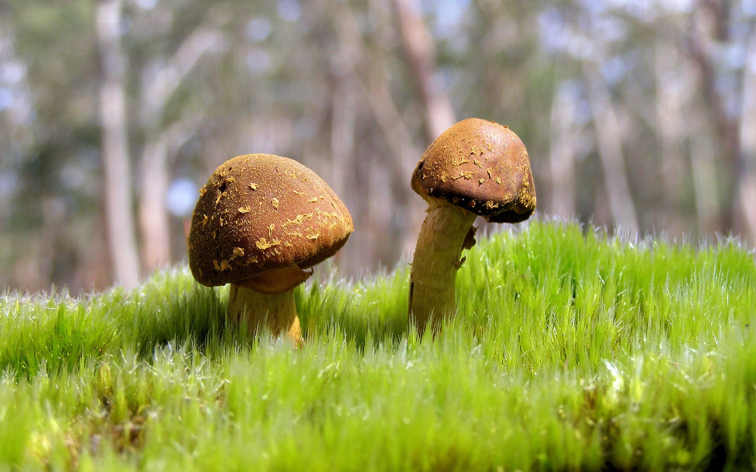 开yun官网-退役国手发起青训基金为贫困地区篮球少年提供成长平台，国家篮球青训