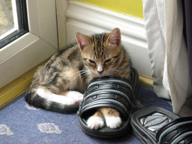 开云体育官网上-里根·史密斯赛后分享备赛心得，里斯希尔史密斯