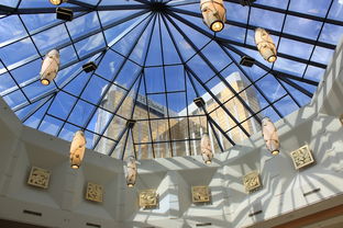 kaiyun网址-雷霆计划提升场馆观众体验改造座椅，雷霆活动  第3张