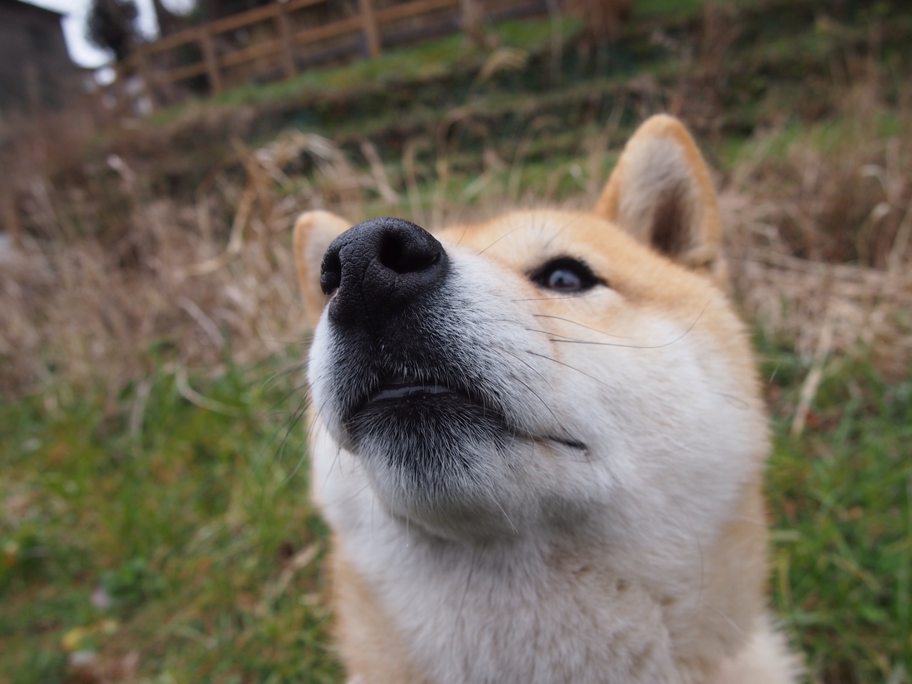 kaiyun网址-AC米兰逆转战胜国际米兰意甲焦点战，意甲第4轮ac米兰vs国际米兰