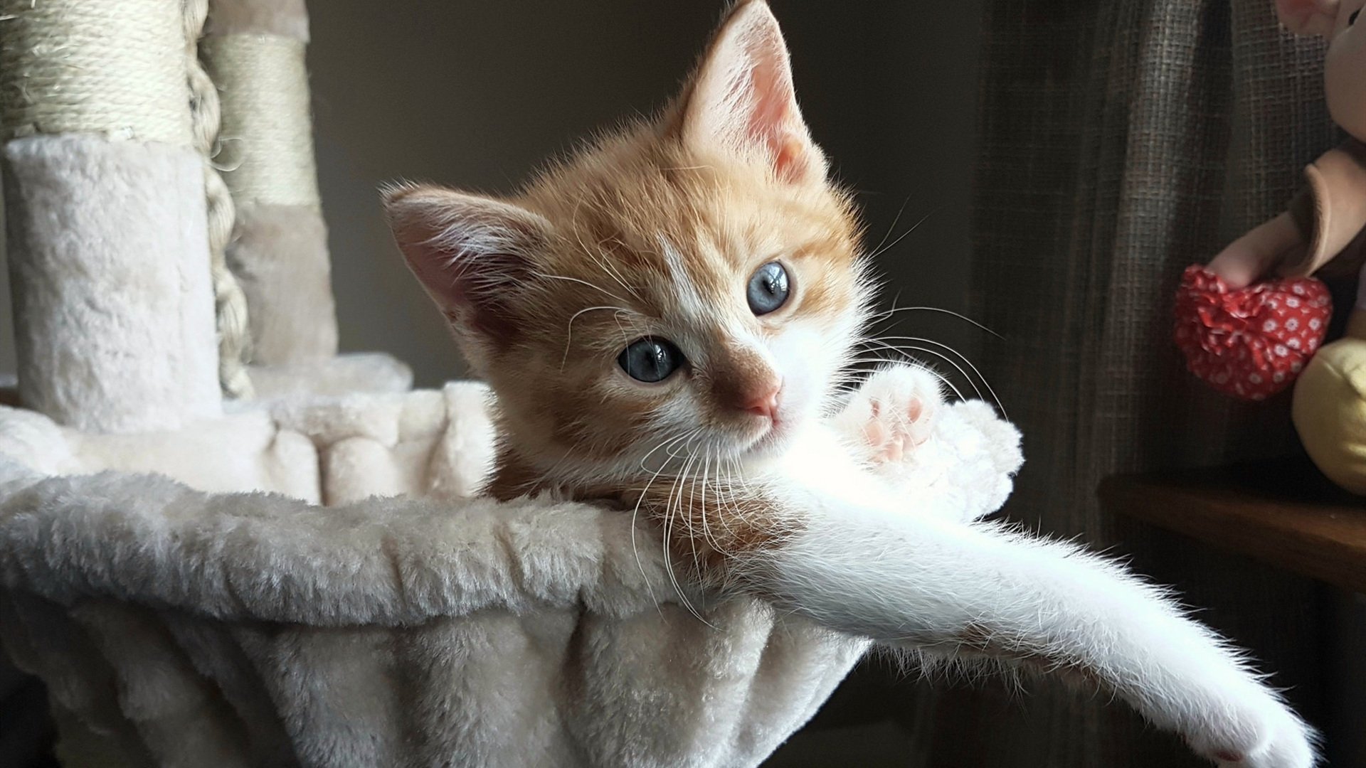 开云体育登录-中国篮球俱乐部命名与品牌战略分析,篮球俱乐部价值排名 第3张 开云体育登录-中国篮球俱乐部命名与品牌战略分析,篮球俱乐部价值排名 第3张